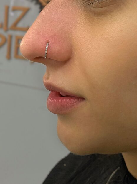 piercing argola cravejada aba nasal